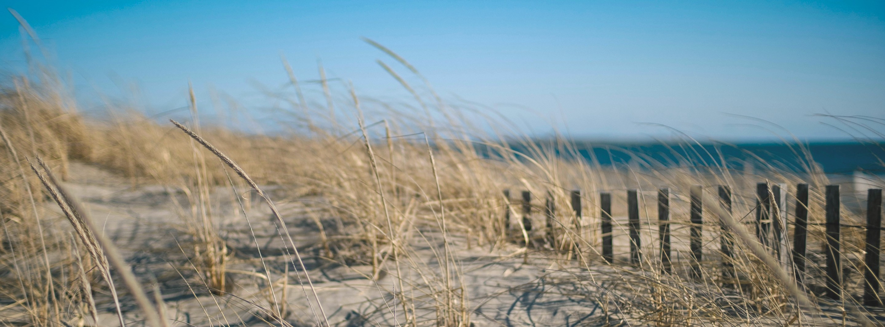 agence lblf laure brousseau laurent feinte